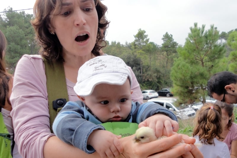 Granja Natura (Centre dApropament a la Natura) (FamÃÂ­lies)